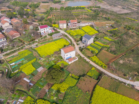 湖北黄石保安湖湿地公园航拍风光