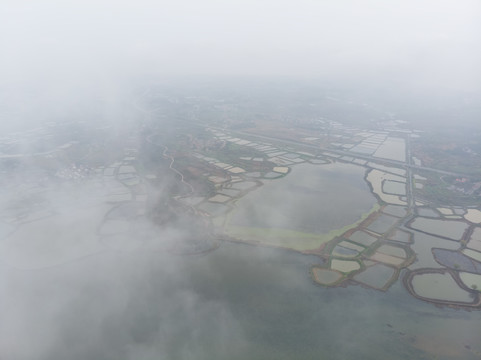 湖北大冶保安湖湿地公园航拍风光