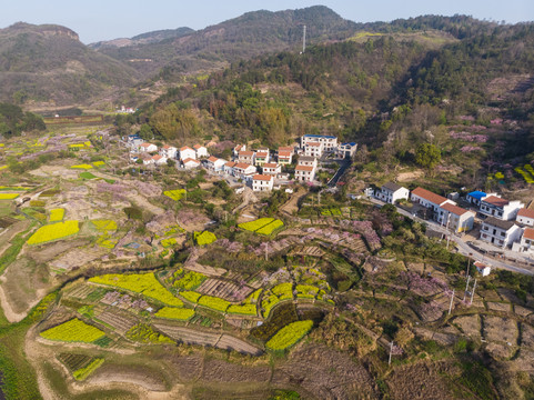 湖北黄石沼山森林公园航拍风光