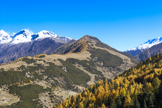 中国四川甘孜四姑娘山