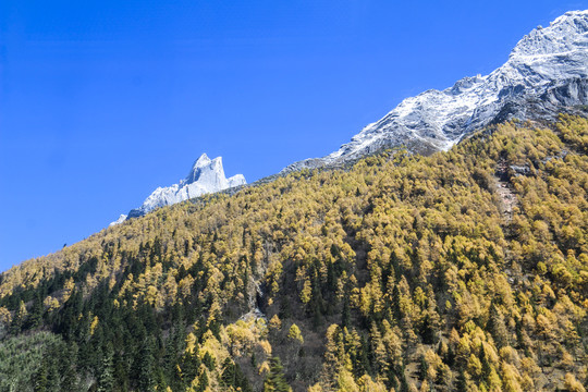 中国四川甘孜四姑娘山