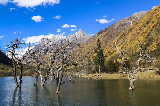 中国四川甘孜四姑娘山双桥沟