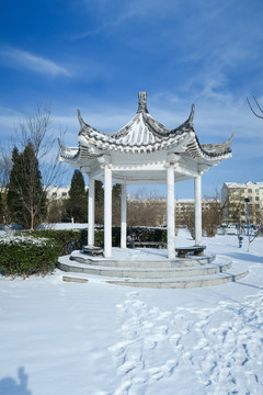 冬季公园雪景