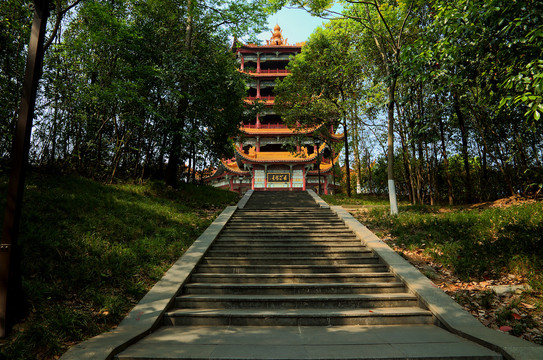 深山藏古寺