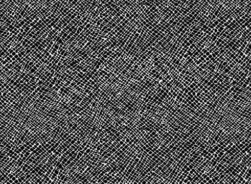 矢量象皮纹