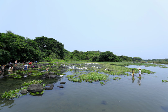 定安冷泉