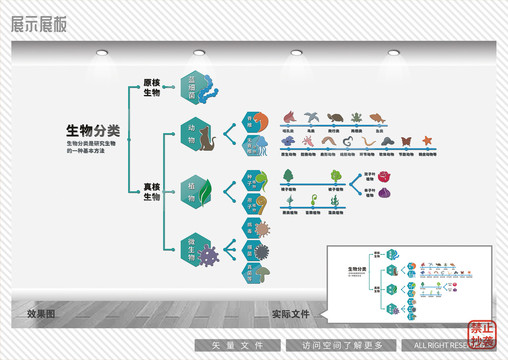生物分类文化墙