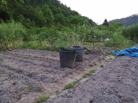 菜地施肥农具