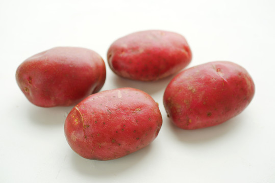 红土豆