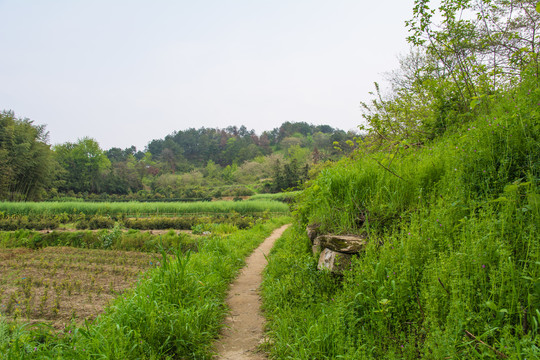 山路