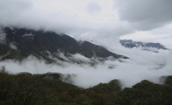 神龙架林区