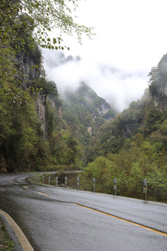 山路弯弯