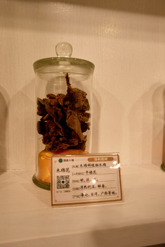 木棉花标本