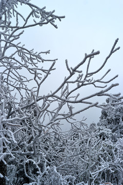 衡山雪景
