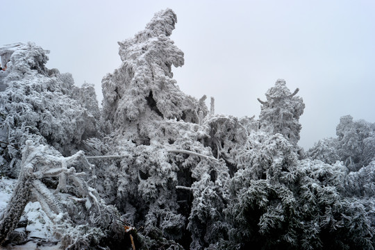 衡山雪景