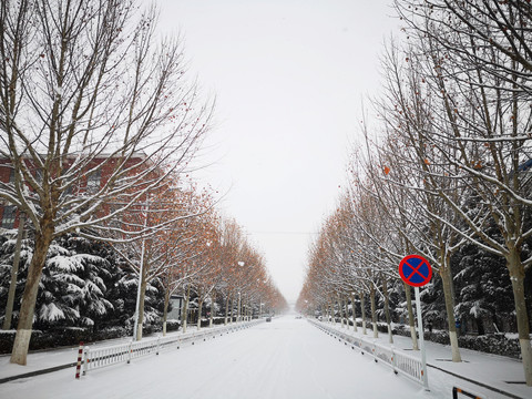 街道雪景