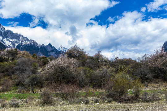 西藏风景