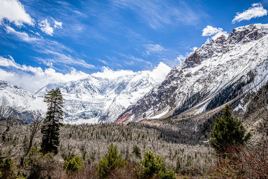 西藏风景