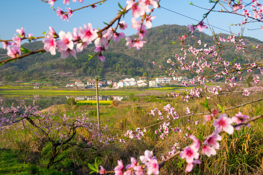 湖北黄石沼山森林公园春季风光