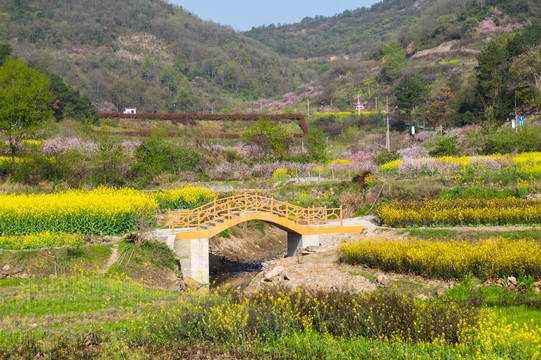 湖北黄石沼山森林公园春季风光