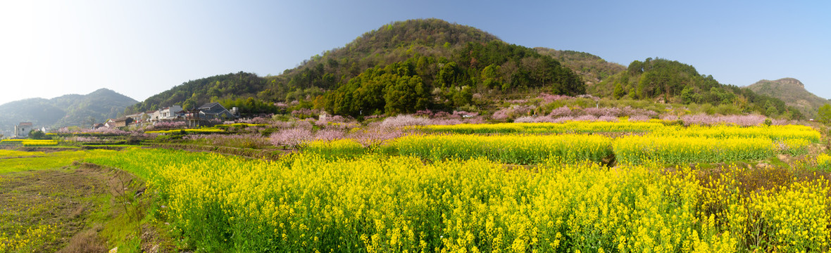 湖北黄石沼山森林公园春季风光