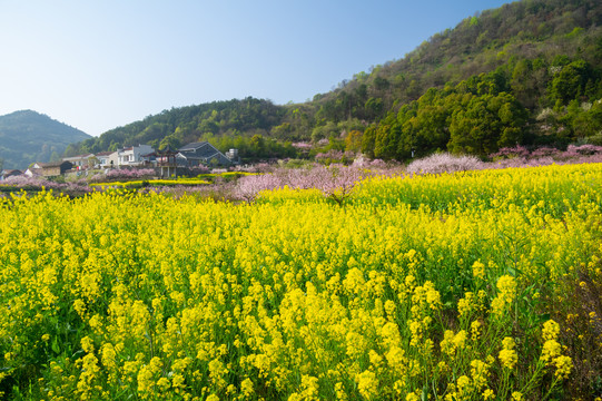 湖北黄石沼山森林公园春季风光