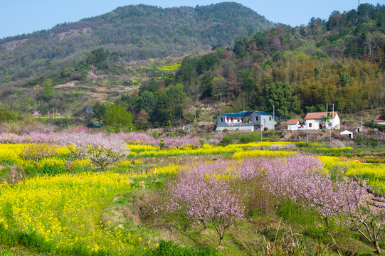 湖北黄石沼山森林公园春季风光