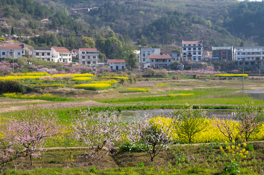 湖北黄石沼山森林公园春季风光