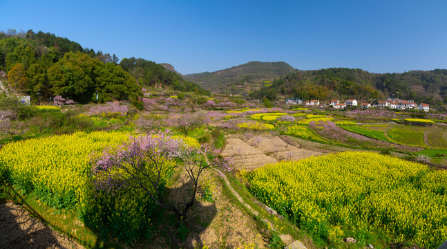 湖北黄石沼山森林公园春季风光