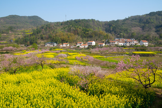 湖北黄石沼山森林公园春季风光