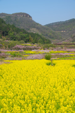 湖北黄石沼山森林公园春季风光