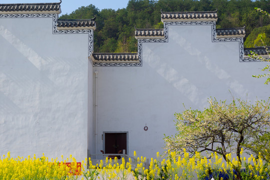 湖北黄石沼山森林公园春季风光