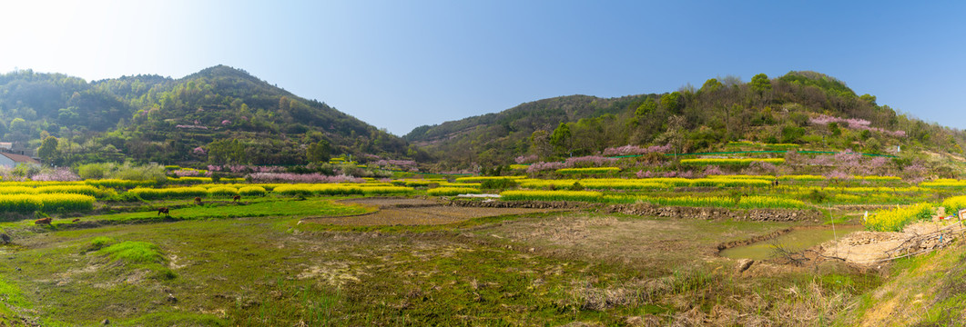 湖北黄石沼山森林公园春季风光