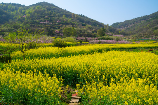 湖北黄石沼山森林公园春季风光