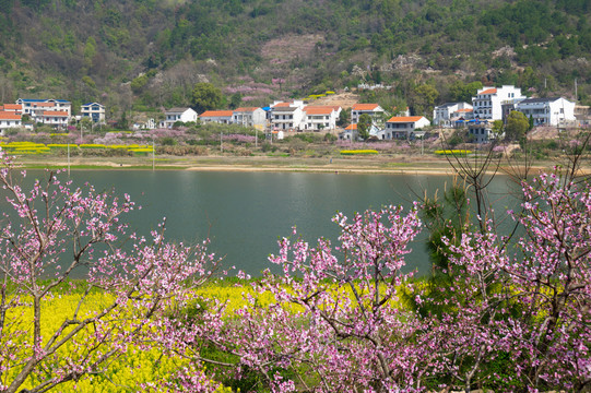 湖北黄石沼山森林公园春季风光