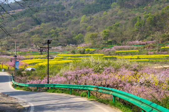 湖北黄石沼山森林公园春季风光