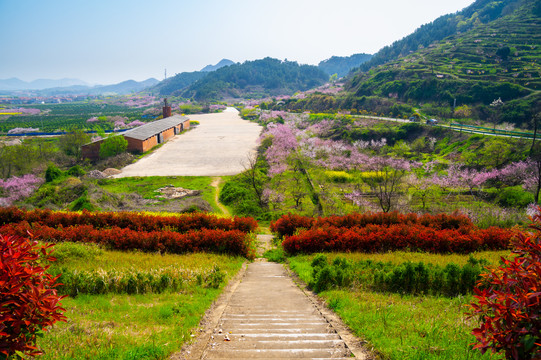 湖北黄石沼山森林公园春季风光