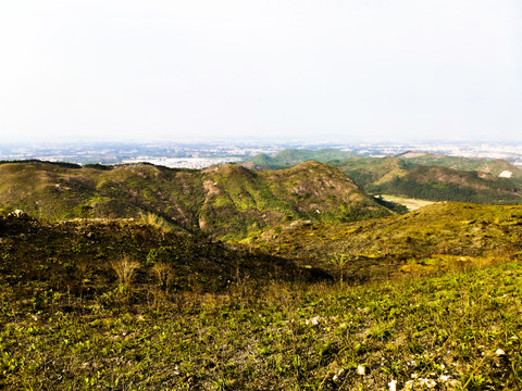 山顶风光