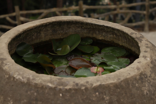 石缸