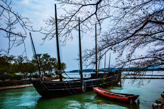 太湖鼋头渚帆船