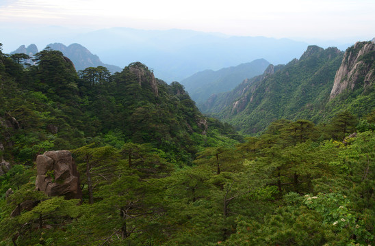 黄山