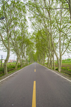 道路