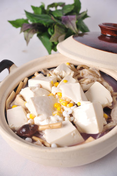 杂菌豆腐煲