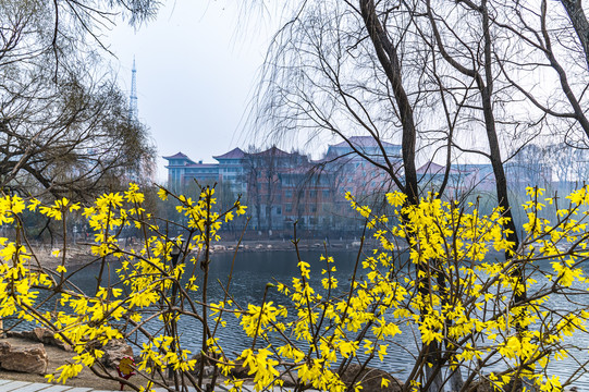 中国长春市御花园春季景观
