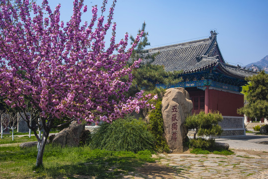 岱庙