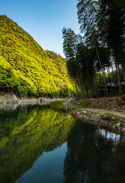 溪竹山影