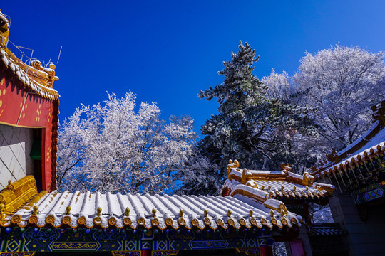 华山雪景