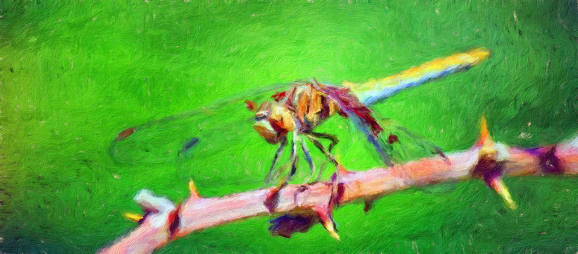 蜻蜓油画