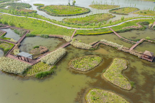 湖北松滋稻谷溪湿地公园