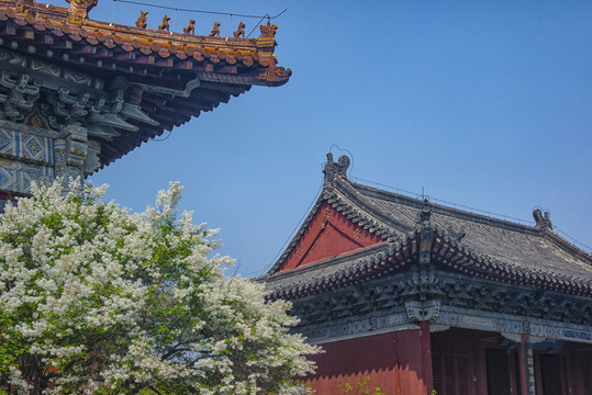 岱庙